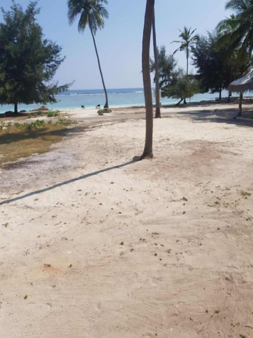 Flyzone Seashell Cottages Only For Indian Nationals With Valid Entry Permit Agatti Екстериор снимка